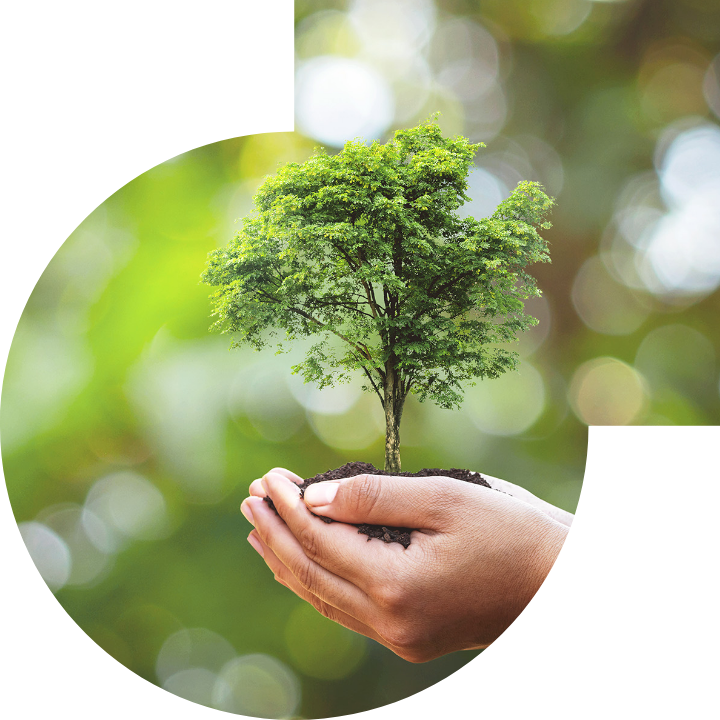 关怀人类、文化、环境与社会